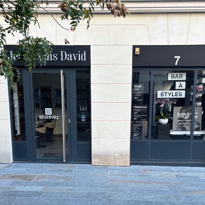 Jean Louis David 2